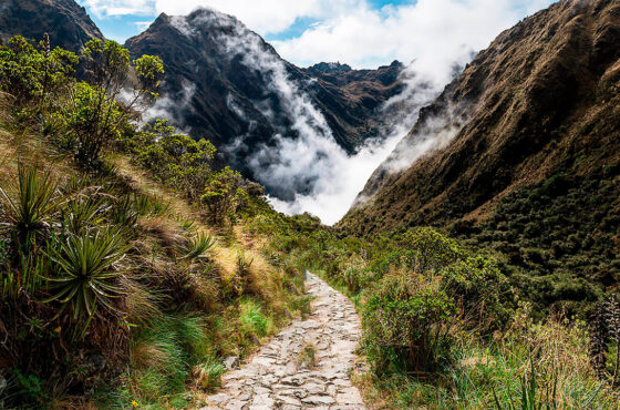 Inca Trail