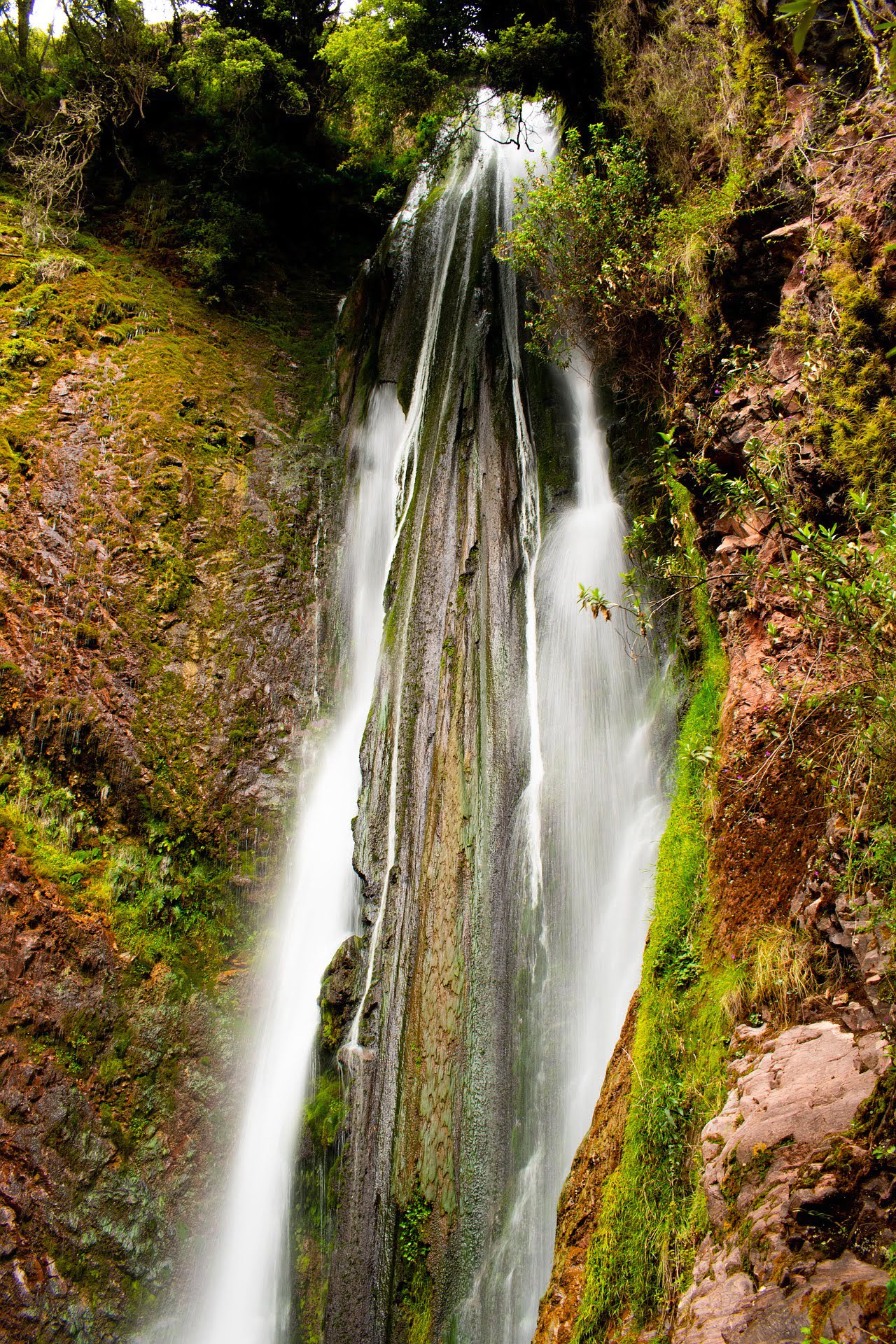 Catarata PeruEssence